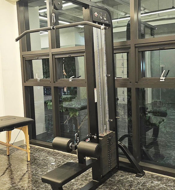 Cable Lat pulldown station